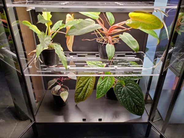 Rudsta Wide Acrylic Shelves